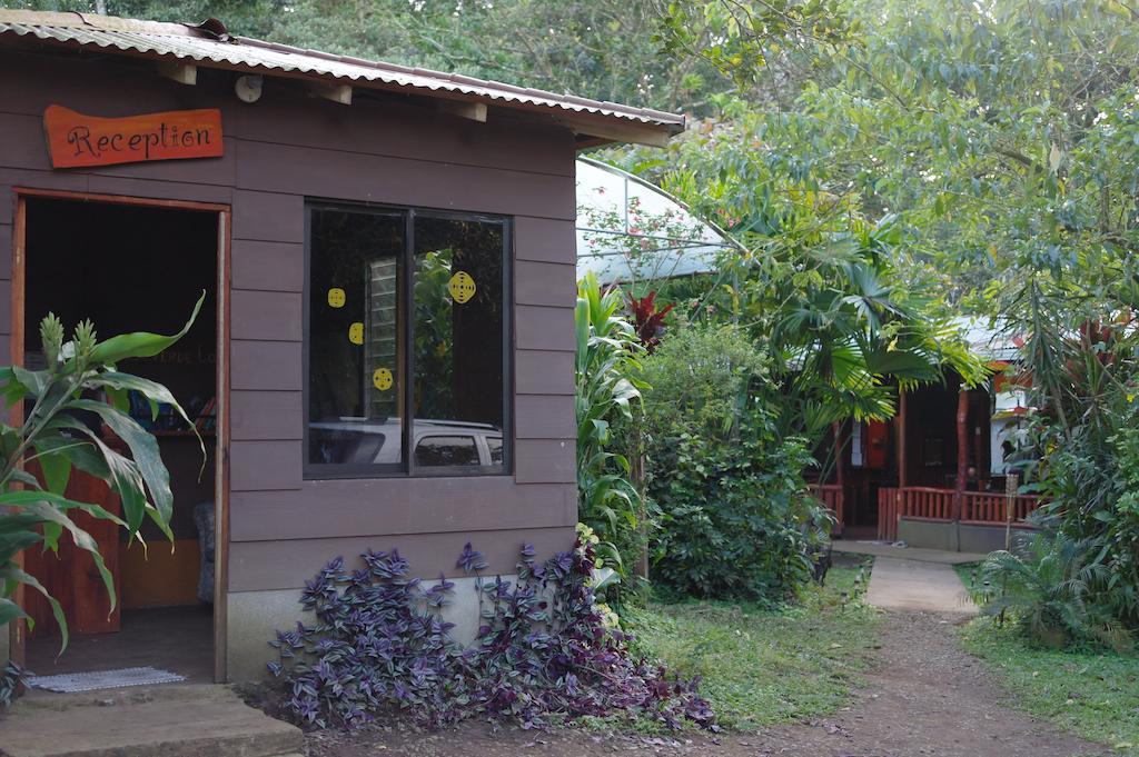 Finca Verde Lodge Bijagua Exterior foto