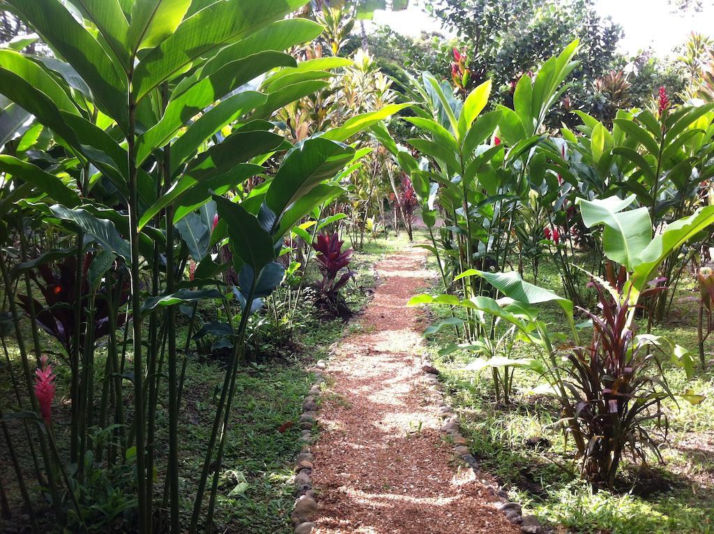 Finca Verde Lodge Bijagua Exterior foto