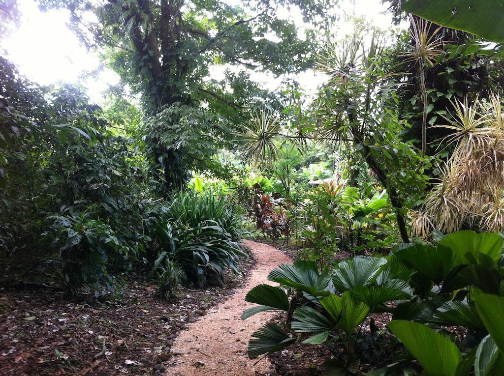 Finca Verde Lodge Bijagua Exterior foto